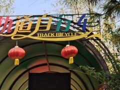 -合肥滨湖国家森林公园