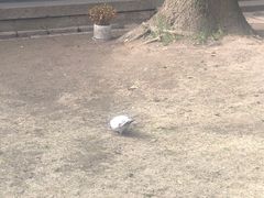 -无锡梅园公园
