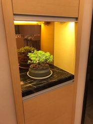 -ROYEA茹彦祛痘·问题肌肤修护中心