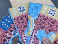 -海合安青岛极地海洋公园