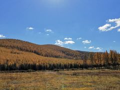 -塞罕坝国家级自然保护区