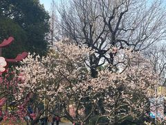 -无锡梅园公园