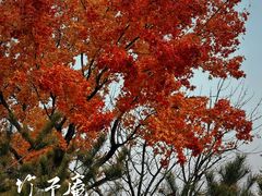 -竹子庵公园