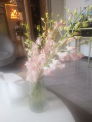 -海菲秀·飞顿牛奶光·LDM官方授权中心美轮美浣瓷感美肌