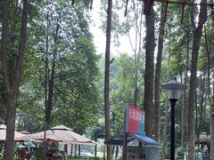 -二荆条·蜀鲜汇城市森林火锅