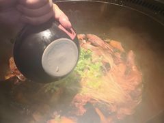 -挂雪铁锅炖大鹅