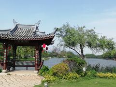 -江心屿景区