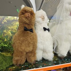 -IMON·HANSA潮玩玩偶毛绒玩具(通州万象汇店)