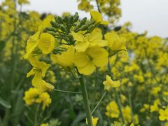 -祝甸砖窑文化馆