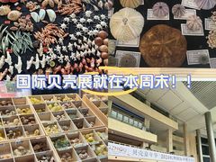 -浙江自然博物院(杭州馆)