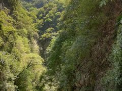 -武陵山森林公园