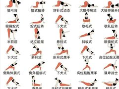 -7号院家宴.烧鸽子(门头沟店)