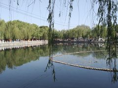 -百花洲