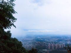 -杭州半山国家森林公园