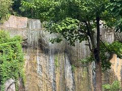 -西双版纳原始森林公园