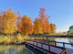 -梁鸿国家湿地公园
