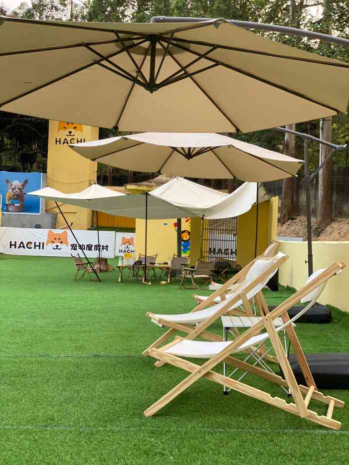 hachi宠物度假村-"【项目】其他 | 乐园第一次去游泳,环.