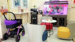 -安院长·产后恢复·徒手骨盆(先天下店)
