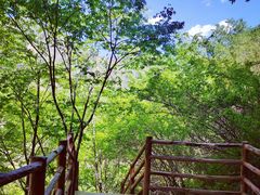 -野三坡清泉山风景区