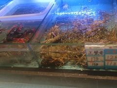 -阿伟海鲜楼·福建菜(延寿店)