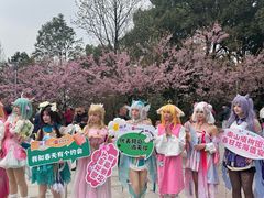 -南山植物园