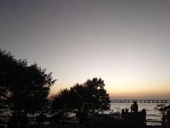 -宝安西湾红树林湿地公园