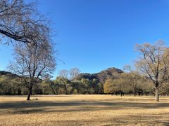 -承德避暑山庄景区