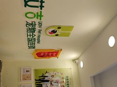 -艾吉宠物医院·疑难杂症转诊中心·猫友好(碧江路院)