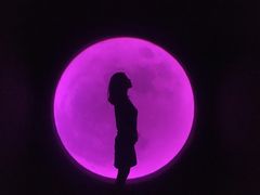 -苏州5D星空错觉艺术馆