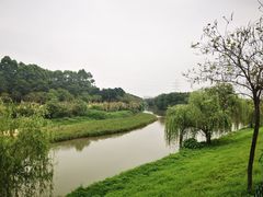 -广东花都湖国家湿地公园