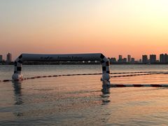 -金鸡湖桃花岛