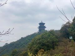 -杭州半山国家森林公园