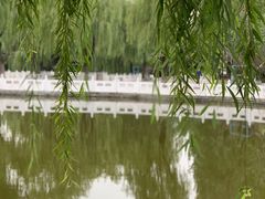 -丰台花园