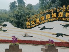 -西双版纳原始森林公园