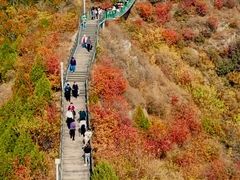 -狼牙山风景区