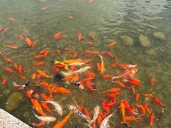 -河北省园博园