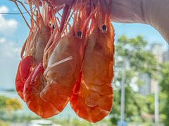 -蟹天蟹地农家菜·阳澄湖大闸蟹(浅水湾店)