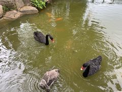 -珠海圆明新园