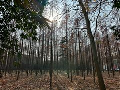 -河南省黄河迎宾馆