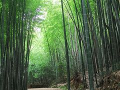 -苏州环秀晓筑养生度假村
