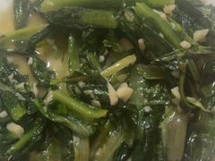 -煲来饱去冷水鱼