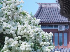 -常熟方塔园