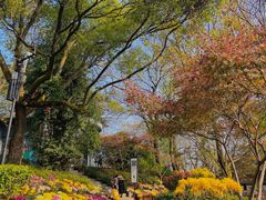 -岳麓山风景名胜区