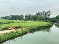 -乌村