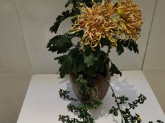 -汇龙潭