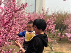 -泰山天颐湖旅游度假区