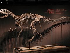 -正佳自然科学博物馆