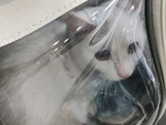 -瑞鹏宠物医院·内科·中兽医·骨科(苗圃店)