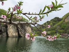 -大连冰峪旅游度假区