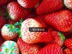-盒马鲜生(杭州运河上街店)